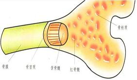 &#20048;&#40060;&#23448;&#26041;&#31471;&#32593;&#31449;&#30331;&#24405;&#20837;&#21475;&#45;&#20048;&#40060;&#108;&#101;&#121;&#117;&#40;&#20013;&#22269;&#41;
