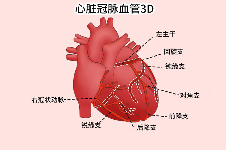 &#20048;&#40060;&#23448;&#26041;&#31471;&#32593;&#31449;&#30331;&#24405;&#20837;&#21475;&#45;&#20048;&#40060;&#108;&#101;&#121;&#117;&#40;&#20013;&#22269;&#41;
